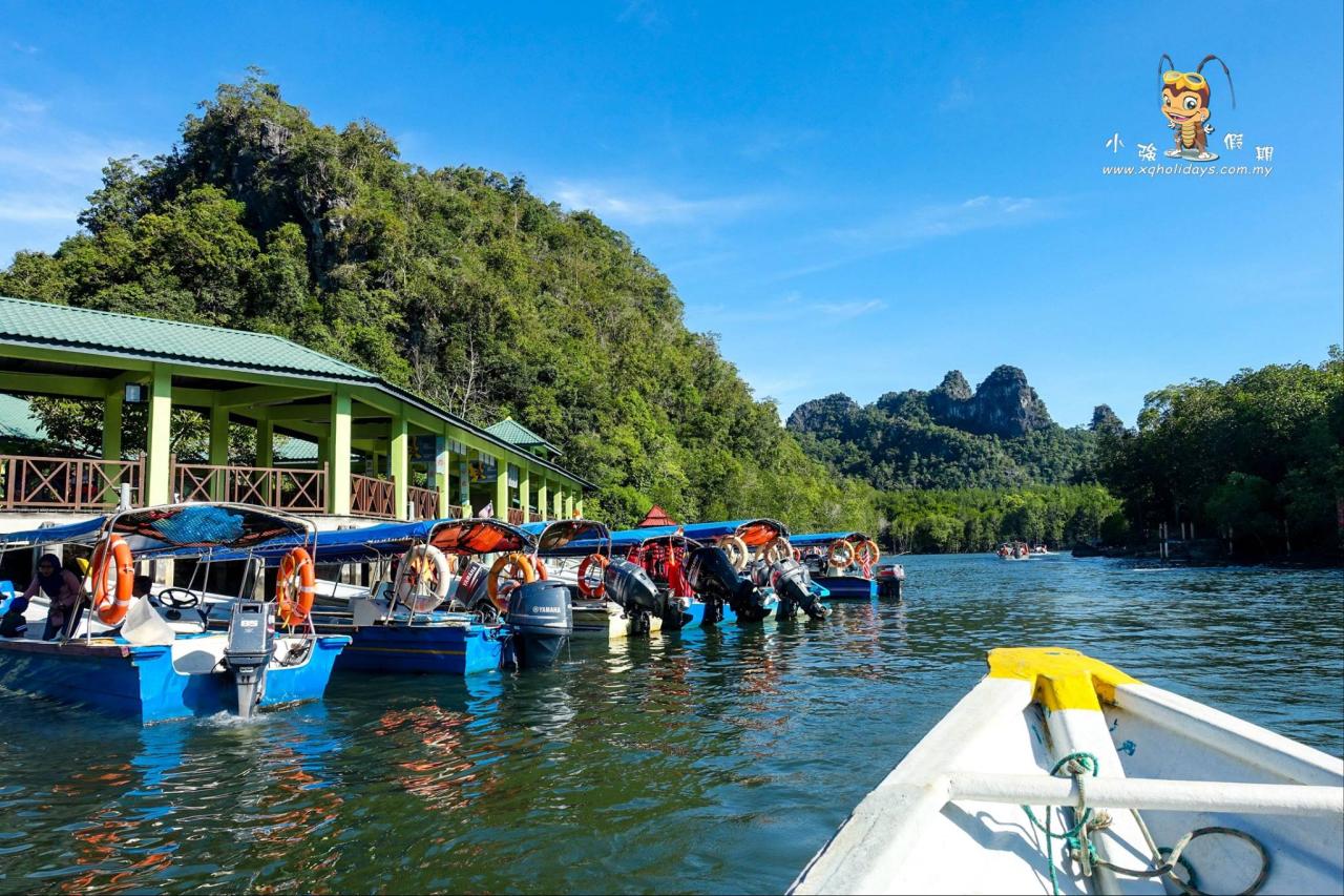 Jelajahi Hutan Mangrove Langkawi: Petualangan Ekologi yang Menakjubkan